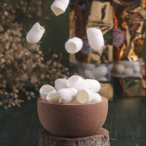 پیله ابریشم